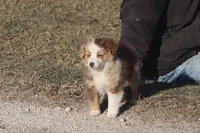 processed/bb2818a1-3faa-48f4-aea8-a0681eb6ffb4/listing/170ffb27-ee0a-42d9-8908-9f1b945317ac/fcb73b5d-bc0e-4dc0-9991-e690be5759b9