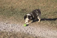 processed/bb2818a1-3faa-48f4-aea8-a0681eb6ffb4/listing/3e14ca37-d93f-45c1-9201-8c1545ceacfa/1159bc09-d633-4cf6-af61-47767e2ec5f6