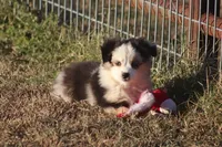 processed/bb2818a1-3faa-48f4-aea8-a0681eb6ffb4/listing/3e14ca37-d93f-45c1-9201-8c1545ceacfa/12cae3ec-9eea-4405-833b-f114cbdade79