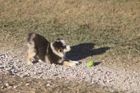 processed/bb2818a1-3faa-48f4-aea8-a0681eb6ffb4/listing/3e14ca37-d93f-45c1-9201-8c1545ceacfa/31485b3f-5af3-444a-acbf-7f1194f2ff64