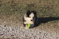 processed/bb2818a1-3faa-48f4-aea8-a0681eb6ffb4/listing/3e14ca37-d93f-45c1-9201-8c1545ceacfa/36530213-4982-47dc-8188-1a2eba909bdb