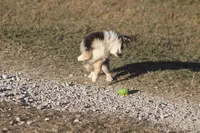 processed/bb2818a1-3faa-48f4-aea8-a0681eb6ffb4/listing/3e14ca37-d93f-45c1-9201-8c1545ceacfa/97d3a3b5-50a4-4a18-bd0a-c996c30e55a2