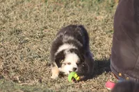 processed/bb2818a1-3faa-48f4-aea8-a0681eb6ffb4/listing/3e14ca37-d93f-45c1-9201-8c1545ceacfa/ab4b821a-3333-4474-b04a-45117a39bcf2