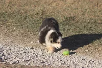 processed/bb2818a1-3faa-48f4-aea8-a0681eb6ffb4/listing/3e14ca37-d93f-45c1-9201-8c1545ceacfa/ed336d61-24bd-404a-9984-572aa20244ee