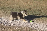 processed/bb2818a1-3faa-48f4-aea8-a0681eb6ffb4/listing/3e14ca37-d93f-45c1-9201-8c1545ceacfa/faac5889-e131-4745-846b-9565da7ed737