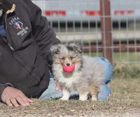 processed/bb2818a1-3faa-48f4-aea8-a0681eb6ffb4/listing/409bfd1a-f234-4115-baa6-f5fc99b2219e/1e8d36ea-c01f-4063-a199-1e320e66c6b7