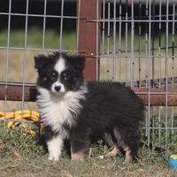 processed/bb2818a1-3faa-48f4-aea8-a0681eb6ffb4/listing/5c32f110-fff2-4f9b-a0db-9375c3c94ddd/7d65acc0-c97f-4451-b4a2-a88dbe753b45