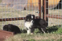 processed/bb2818a1-3faa-48f4-aea8-a0681eb6ffb4/listing/5c32f110-fff2-4f9b-a0db-9375c3c94ddd/81f3ae42-7160-4dfe-bc40-af4c29f503dd