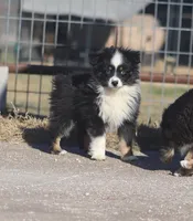 processed/bb2818a1-3faa-48f4-aea8-a0681eb6ffb4/listing/5c32f110-fff2-4f9b-a0db-9375c3c94ddd/928fbcec-1fd8-4e7b-9b9a-2ed8a41358bf