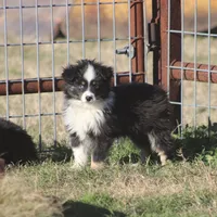 processed/bb2818a1-3faa-48f4-aea8-a0681eb6ffb4/listing/5c32f110-fff2-4f9b-a0db-9375c3c94ddd/b40faaaa-6311-4baf-adb5-2137567a5e2e