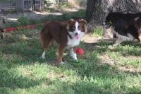 processed/bb2818a1-3faa-48f4-aea8-a0681eb6ffb4/listing/69d4c0cf-cad3-44d2-a763-7b3aa3009b85/045c3595-d01f-4f0c-a20b-d878ee14a685