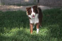 processed/bb2818a1-3faa-48f4-aea8-a0681eb6ffb4/listing/69d4c0cf-cad3-44d2-a763-7b3aa3009b85/853d06f2-f99b-4c64-a8bf-9e49f8e38f9d