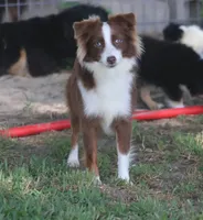 processed/bb2818a1-3faa-48f4-aea8-a0681eb6ffb4/listing/69d4c0cf-cad3-44d2-a763-7b3aa3009b85/8d0318c8-d6ac-4009-9dd1-04f1e7a5300e