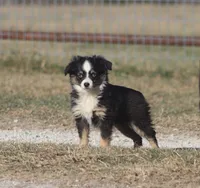 processed/bb2818a1-3faa-48f4-aea8-a0681eb6ffb4/listing/6d136fec-a200-42db-9da0-964e45d72f76/f6c4e23b-6d4f-44b2-a3c7-d413d1204861