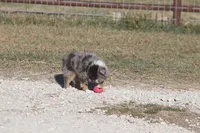 processed/bb2818a1-3faa-48f4-aea8-a0681eb6ffb4/listing/6df7c93c-e33a-4eb7-95ee-e320c03df835/02b9ae70-9be8-4973-b162-e238b5a337b8