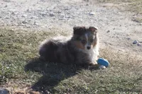 processed/bb2818a1-3faa-48f4-aea8-a0681eb6ffb4/listing/6df7c93c-e33a-4eb7-95ee-e320c03df835/6cd67132-d06c-47de-a238-bc07e7824f33