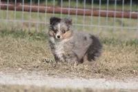 processed/bb2818a1-3faa-48f4-aea8-a0681eb6ffb4/listing/6df7c93c-e33a-4eb7-95ee-e320c03df835/c8ea7cb9-77ee-4b4c-9fbd-e344d0f3a0c9