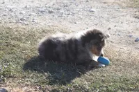 processed/bb2818a1-3faa-48f4-aea8-a0681eb6ffb4/listing/6df7c93c-e33a-4eb7-95ee-e320c03df835/ce131201-23f0-466d-9085-6ef33ed20540