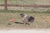 processed/bb2818a1-3faa-48f4-aea8-a0681eb6ffb4/listing/6df7c93c-e33a-4eb7-95ee-e320c03df835/ea3f2baa-64f9-4a2c-acb3-4fbc2ff94321