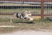 processed/bb2818a1-3faa-48f4-aea8-a0681eb6ffb4/listing/720829cf-2d6d-4848-8f16-20bdea268c1b/9162d088-722a-4477-ba35-8c8a33cdf485