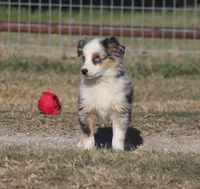 processed/bb2818a1-3faa-48f4-aea8-a0681eb6ffb4/listing/720829cf-2d6d-4848-8f16-20bdea268c1b/9dce24dc-499f-483f-919d-6093e5aa3314