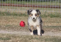 processed/bb2818a1-3faa-48f4-aea8-a0681eb6ffb4/listing/720829cf-2d6d-4848-8f16-20bdea268c1b/d1106df5-2fe4-430c-89f3-5f21767ed079