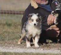 processed/bb2818a1-3faa-48f4-aea8-a0681eb6ffb4/listing/720829cf-2d6d-4848-8f16-20bdea268c1b/e1589355-20b8-489e-85c3-62c5e3069685