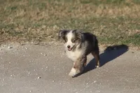 processed/bb2818a1-3faa-48f4-aea8-a0681eb6ffb4/listing/741ef5b7-8860-4c34-8e99-24d62369ce8e/53d22af8-321f-475a-9486-004e112758ad