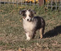 processed/bb2818a1-3faa-48f4-aea8-a0681eb6ffb4/listing/741ef5b7-8860-4c34-8e99-24d62369ce8e/7d7b050b-a334-4878-b329-272cc119e47b