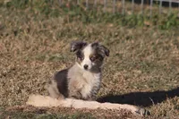 processed/bb2818a1-3faa-48f4-aea8-a0681eb6ffb4/listing/741ef5b7-8860-4c34-8e99-24d62369ce8e/c5ac8c17-cc64-488a-84fe-c70e3f78c043