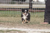 processed/bb2818a1-3faa-48f4-aea8-a0681eb6ffb4/listing/7b7cc5f1-97f5-4ff9-87ae-af066bc5b7a3/0f3967c0-13c4-4920-96b3-b1db7dfa095a