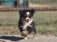 processed/bb2818a1-3faa-48f4-aea8-a0681eb6ffb4/listing/7b7cc5f1-97f5-4ff9-87ae-af066bc5b7a3/708ec3fa-fae0-40a3-9c72-efa73df210e5