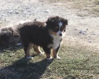 processed/bb2818a1-3faa-48f4-aea8-a0681eb6ffb4/listing/7b7cc5f1-97f5-4ff9-87ae-af066bc5b7a3/7490fdce-a8b1-4330-a8c0-770d3d1a3619