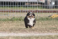 processed/bb2818a1-3faa-48f4-aea8-a0681eb6ffb4/listing/7b7cc5f1-97f5-4ff9-87ae-af066bc5b7a3/9b60b25a-4e06-4163-93a9-21163cd7debd