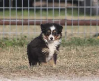 processed/bb2818a1-3faa-48f4-aea8-a0681eb6ffb4/listing/7b7cc5f1-97f5-4ff9-87ae-af066bc5b7a3/d49a665c-7a36-4bf0-8cd5-0b59dda97b30