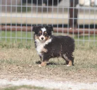 processed/bb2818a1-3faa-48f4-aea8-a0681eb6ffb4/listing/7b7cc5f1-97f5-4ff9-87ae-af066bc5b7a3/e327396f-a8cf-4157-b476-05903b189706