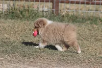 processed/bb2818a1-3faa-48f4-aea8-a0681eb6ffb4/listing/7f01d635-f9f0-4e49-9029-9bcacf5cac65/15fa9b72-4da0-4605-adf9-722e02e2ed4c