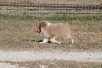 processed/bb2818a1-3faa-48f4-aea8-a0681eb6ffb4/listing/7f01d635-f9f0-4e49-9029-9bcacf5cac65/94ff3934-d28d-4e74-a30c-0498f94a9c2c