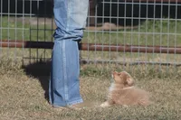 processed/bb2818a1-3faa-48f4-aea8-a0681eb6ffb4/listing/7f01d635-f9f0-4e49-9029-9bcacf5cac65/f98a7baf-7bff-4f8c-bbe5-f40d2f0f7524