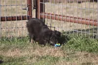 processed/bb2818a1-3faa-48f4-aea8-a0681eb6ffb4/listing/ae096a6c-6cef-4b4c-9f79-39f2b7aeaf9c/0ba448de-7c8d-435b-b9af-0730a1fc3fe6