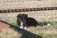 processed/bb2818a1-3faa-48f4-aea8-a0681eb6ffb4/listing/ae096a6c-6cef-4b4c-9f79-39f2b7aeaf9c/2e2e9248-f6df-4168-9bb7-264c891c2d30