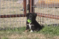 processed/bb2818a1-3faa-48f4-aea8-a0681eb6ffb4/listing/ae096a6c-6cef-4b4c-9f79-39f2b7aeaf9c/399ca225-5f71-4555-b72e-85f35be9a0a0