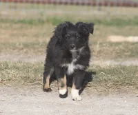 processed/bb2818a1-3faa-48f4-aea8-a0681eb6ffb4/listing/ae096a6c-6cef-4b4c-9f79-39f2b7aeaf9c/996739b7-e6fa-4585-b3d4-c4d5cd02c5a6