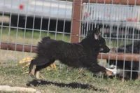 processed/bb2818a1-3faa-48f4-aea8-a0681eb6ffb4/listing/ae096a6c-6cef-4b4c-9f79-39f2b7aeaf9c/c884240b-1cc9-405b-a59c-8a61e6bde195