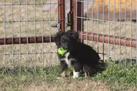 processed/bb2818a1-3faa-48f4-aea8-a0681eb6ffb4/listing/ae096a6c-6cef-4b4c-9f79-39f2b7aeaf9c/c891cc3f-4792-40e5-b1f7-054e7bb20639