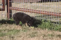 processed/bb2818a1-3faa-48f4-aea8-a0681eb6ffb4/listing/ae096a6c-6cef-4b4c-9f79-39f2b7aeaf9c/e4950366-1496-46ef-bcf9-8b8636609cc0