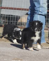 processed/bb2818a1-3faa-48f4-aea8-a0681eb6ffb4/listing/caaf223f-8f86-4dca-b51e-4e9837cd9de9/861ff76b-90b3-4aac-9b1a-ae1a2363751d