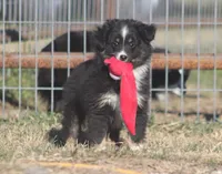 processed/bb2818a1-3faa-48f4-aea8-a0681eb6ffb4/listing/caaf223f-8f86-4dca-b51e-4e9837cd9de9/9d770879-463a-426e-852b-17f3b99acd62