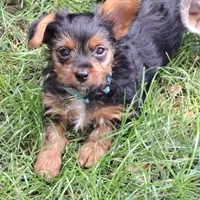 processed/bb2bc01b-9a43-4fab-b0aa-b27b72eab474/facility/4394c6a4-e879-4600-95e4-19a6fccca0a0