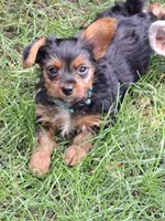 processed/bb2bc01b-9a43-4fab-b0aa-b27b72eab474/facility/4394c6a4-e879-4600-95e4-19a6fccca0a0